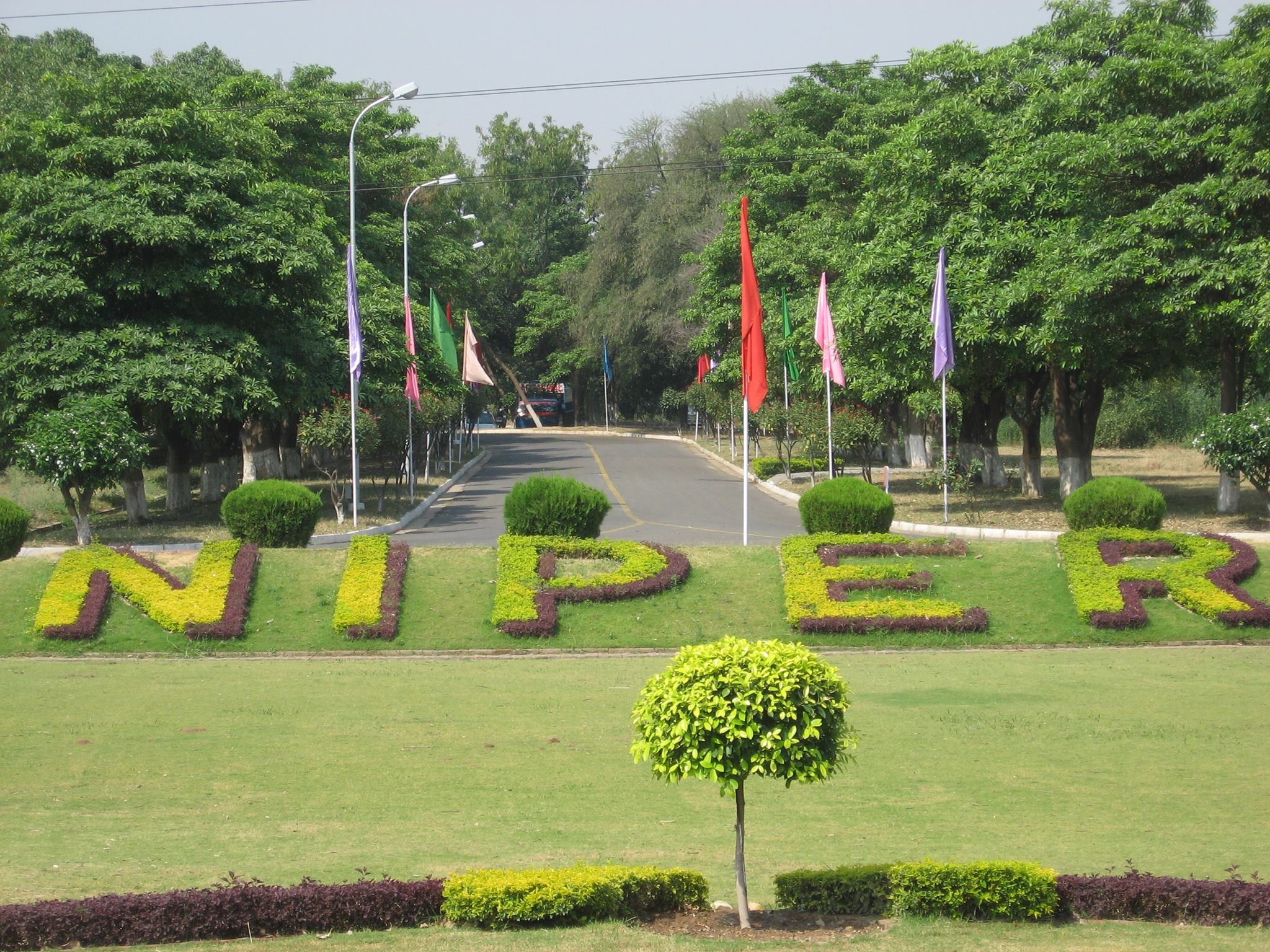 National Institute of Pharmaceutical Education and Research (NIPER), Mohali