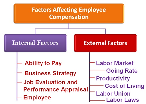 Factors Affecting the Salary